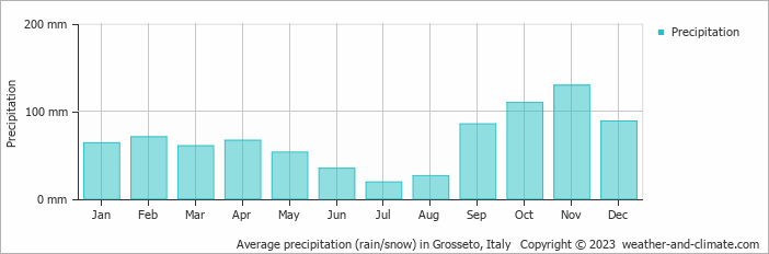 Average monthly rainfall, snow, precipitation in Grosseto, Italy