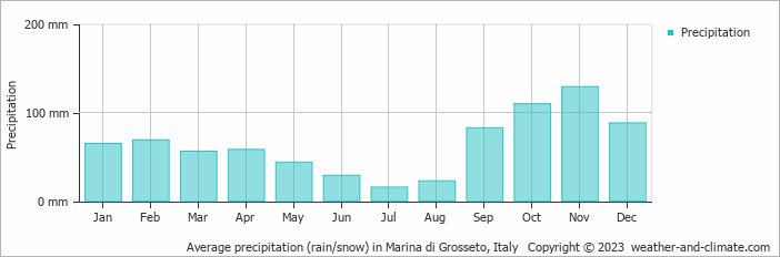Average monthly rainfall, snow, precipitation in Marina di Grosseto, Italy