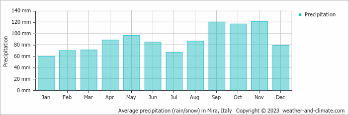 Average monthly rainfall, snow, precipitation in Mira, 