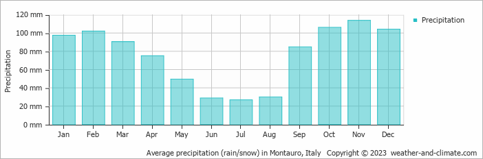 Average monthly rainfall, snow, precipitation in Montauro, Italy