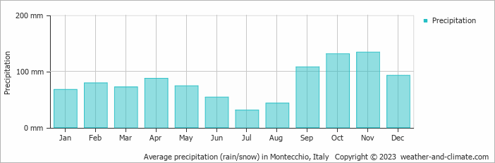 Average monthly rainfall, snow, precipitation in Montecchio, Italy
