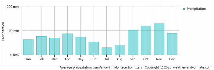 Average monthly rainfall, snow, precipitation in Montecerboli, Italy