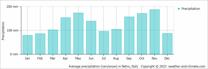 Average monthly rainfall, snow, precipitation in Netro, Italy