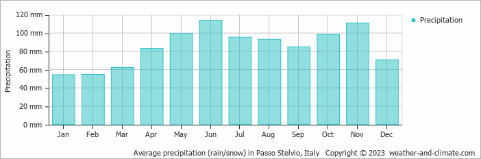 Average monthly rainfall, snow, precipitation in Passo Stelvio, Italy