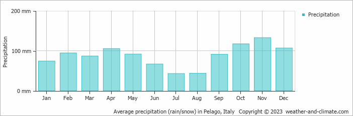 Average monthly rainfall, snow, precipitation in Pelago, Italy
