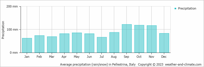 Average monthly rainfall, snow, precipitation in Pellestrina, Italy