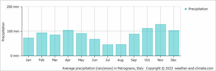 Average monthly rainfall, snow, precipitation in Petrognano, Italy