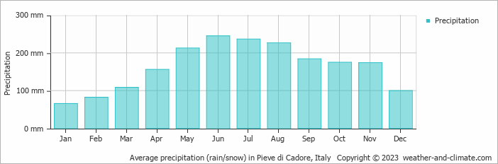 Average monthly rainfall, snow, precipitation in Pieve di Cadore, Italy