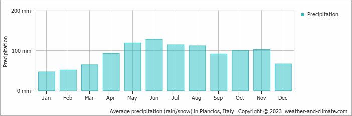 Average monthly rainfall, snow, precipitation in Plancios, Italy