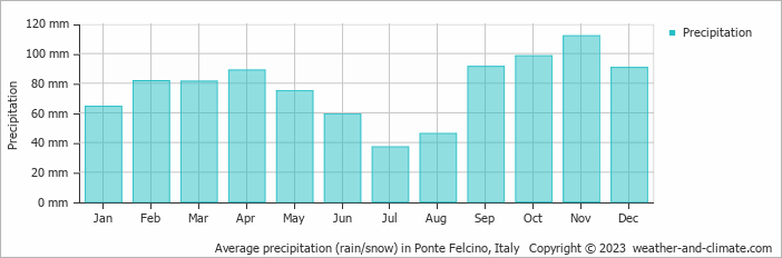 Average monthly rainfall, snow, precipitation in Ponte Felcino, Italy