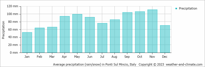 Average monthly rainfall, snow, precipitation in Ponti Sul Mincio, Italy