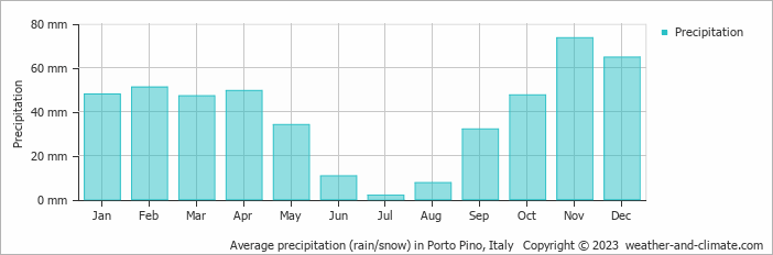 Average monthly rainfall, snow, precipitation in Porto Pino, Italy