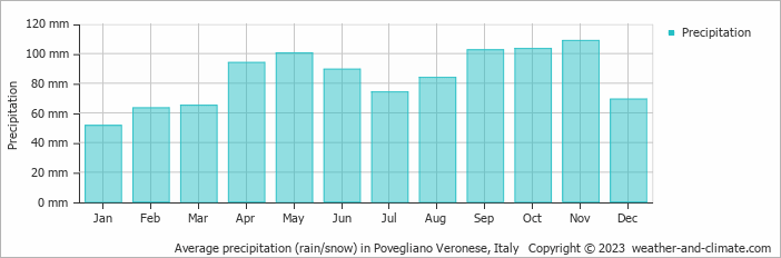 Average monthly rainfall, snow, precipitation in Povegliano Veronese, Italy