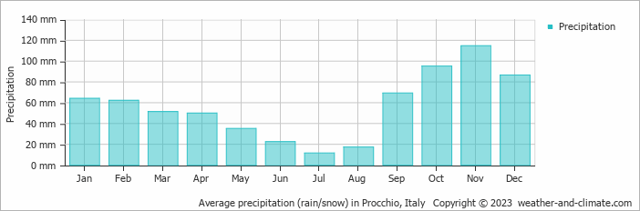 Average monthly rainfall, snow, precipitation in Procchio, Italy