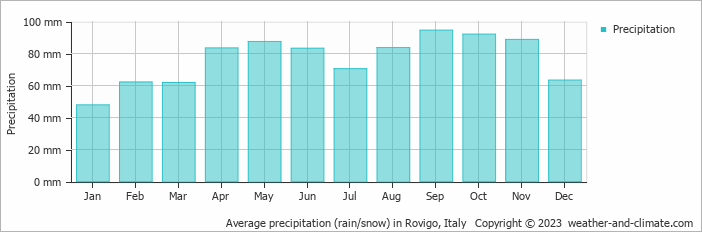 Average monthly rainfall, snow, precipitation in Rovigo, Italy