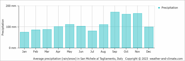 Average monthly rainfall, snow, precipitation in San Michele al Tagliamento, Italy