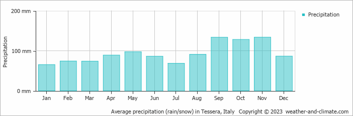 Average monthly rainfall, snow, precipitation in Tessera, Italy