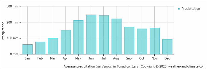 Average monthly rainfall, snow, precipitation in Tonadico, Italy