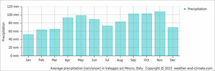 Average monthly rainfall, snow, precipitation in Valeggio sul Mincio, Italy