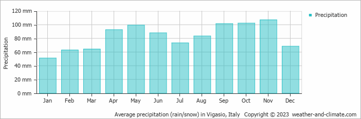 Average monthly rainfall, snow, precipitation in Vigasio, Italy
