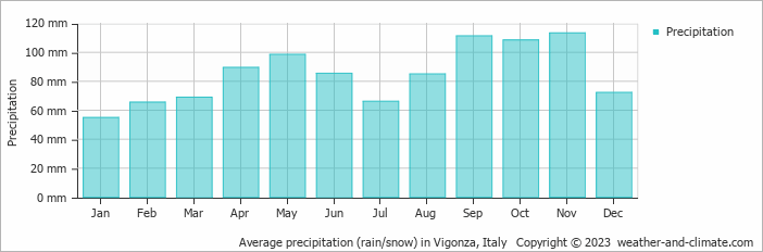 Average monthly rainfall, snow, precipitation in Vigonza, Italy
