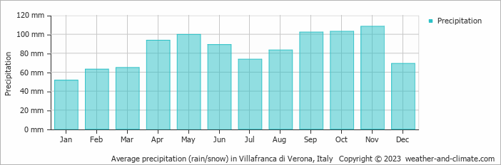 Average monthly rainfall, snow, precipitation in Villafranca di Verona, Italy