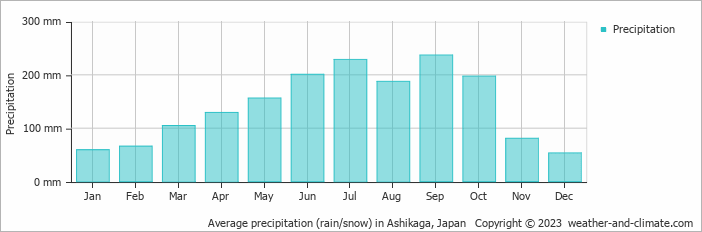 Average monthly rainfall, snow, precipitation in Ashikaga, Japan