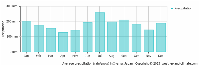 Average monthly rainfall, snow, precipitation in Iiyama, 