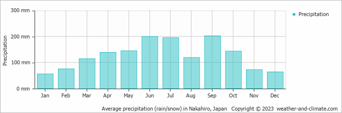 Average monthly rainfall, snow, precipitation in Nakahiro, Japan