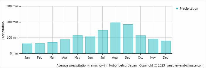 Average monthly rainfall, snow, precipitation in Noboribetsu, Japan