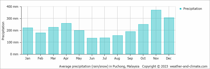 Average monthly rainfall, snow, precipitation in Puchong, 