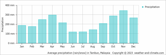 Average monthly rainfall, snow, precipitation in Tambun, Malaysia