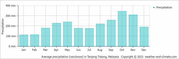 Average monthly rainfall, snow, precipitation in Tanjong Tokong, Malaysia