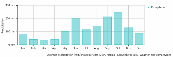 Average monthly rainfall, snow, precipitation in Punta Allen, Mexico