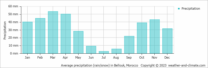 Average monthly rainfall, snow, precipitation in Bellouk, Morocco