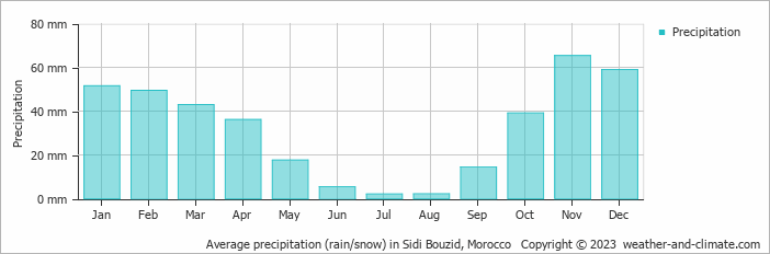 Average monthly rainfall, snow, precipitation in Sidi Bouzid, Morocco