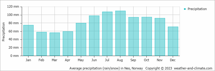 Average monthly rainfall, snow, precipitation in Nes, Norway