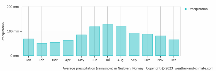 Average monthly rainfall, snow, precipitation in Nesbyen, Norway