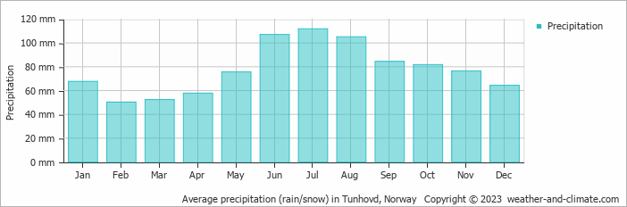 Average monthly rainfall, snow, precipitation in Tunhovd, Norway