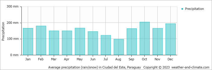 Average monthly rainfall, snow, precipitation in Ciudad del Este, Paraguay