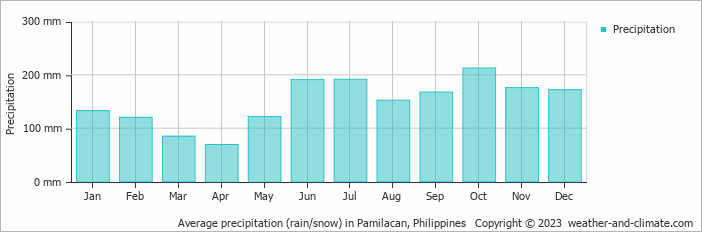 Average monthly rainfall, snow, precipitation in Pamilacan, Philippines