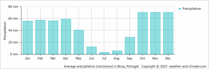 Average monthly rainfall, snow, precipitation in Bicos, Portugal