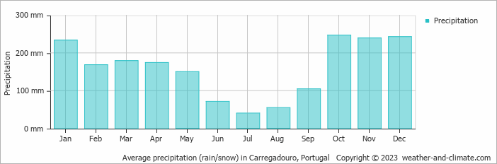 Average monthly rainfall, snow, precipitation in Carregadouro, Portugal