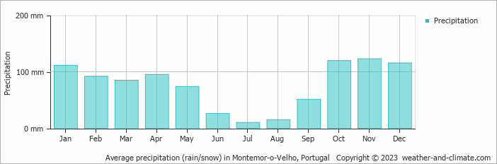 Average monthly rainfall, snow, precipitation in Montemor-o-Velho, Portugal
