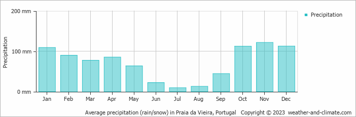Average monthly rainfall, snow, precipitation in Praia da Vieira, Portugal