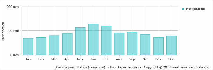 Average monthly rainfall, snow, precipitation in Tîrgu Lăpuş, Romania