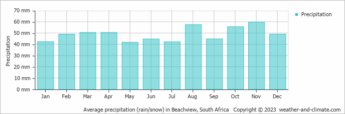 Average monthly rainfall, snow, precipitation in Beachview, South Africa