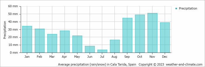 Average monthly rainfall, snow, precipitation in Cala Tarida, 