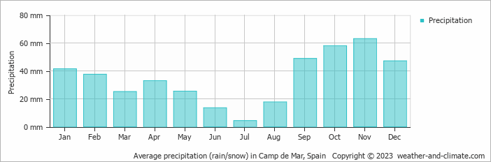 Average monthly rainfall, snow, precipitation in Camp de Mar, Spain