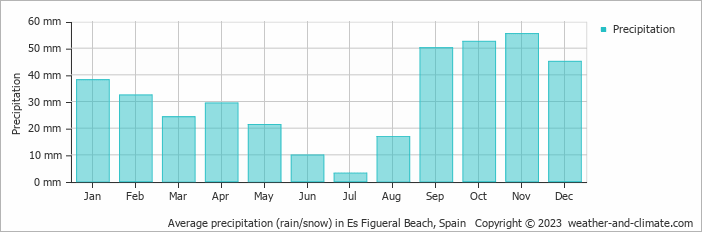 Average monthly rainfall, snow, precipitation in Es Figueral Beach, Spain
